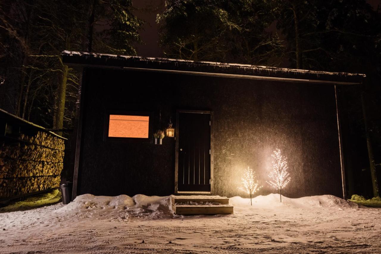 Ternu Minivilla Rovaniemi Exteriör bild